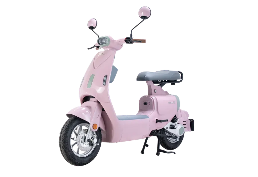 Xe Điện Dibao Ella