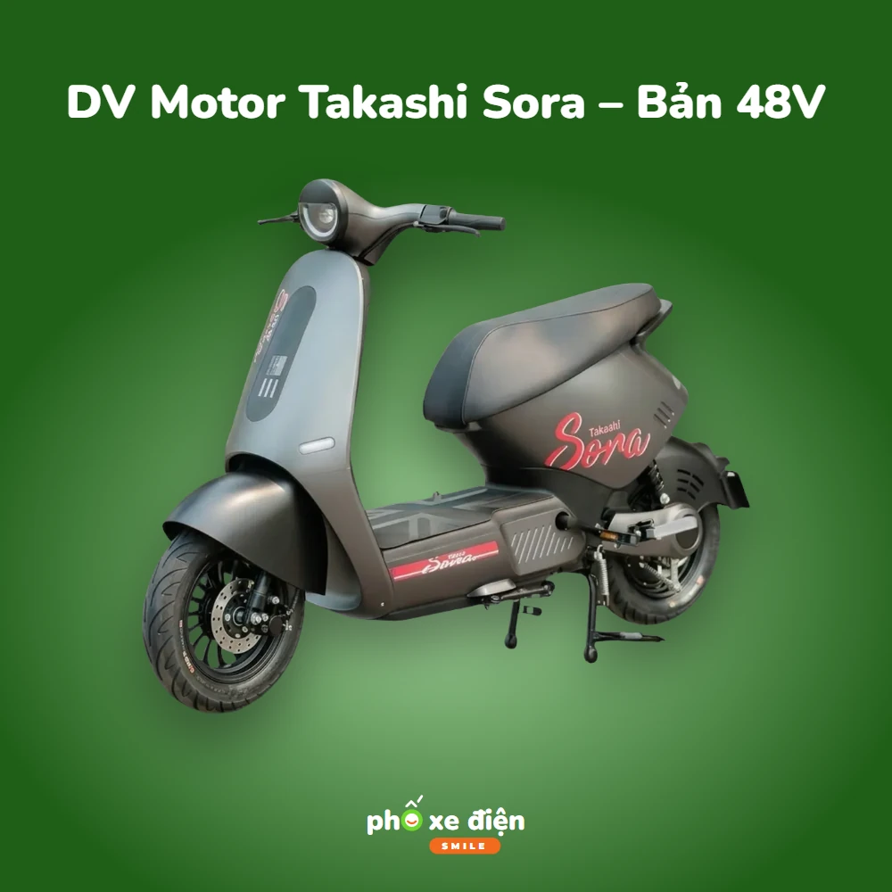 Xe Điện DV Motor Takashi Sora – Bản 48V