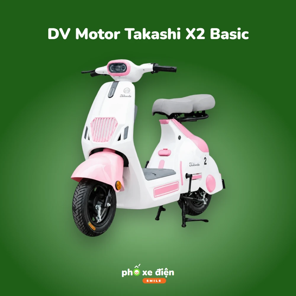 Xe Điện DV Motor Takashi X2 Basic