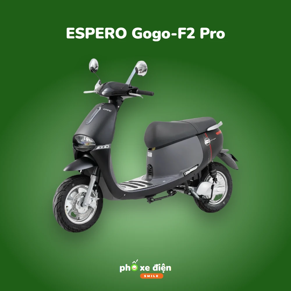 Xe Điện ESPERO Gogo-F2 Pro