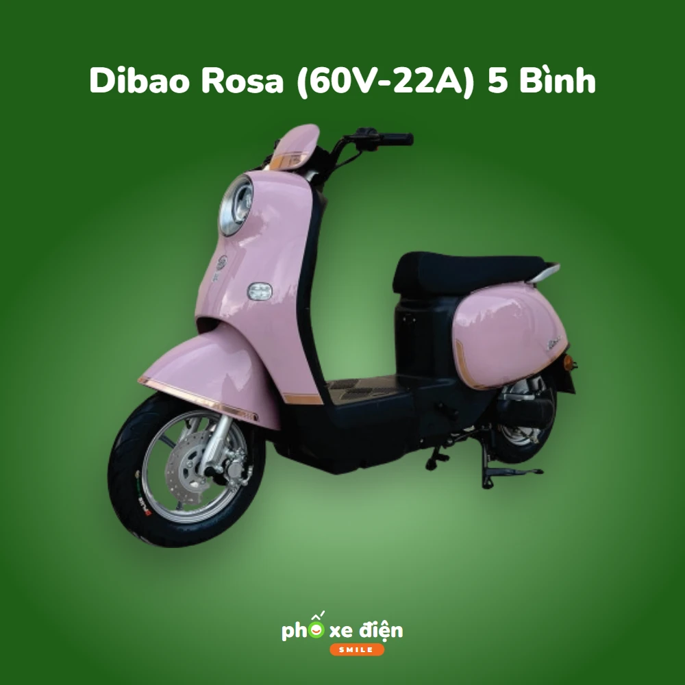 Xe Điện Hottrend Dibao Rosa (60V-22A) 5 Bình