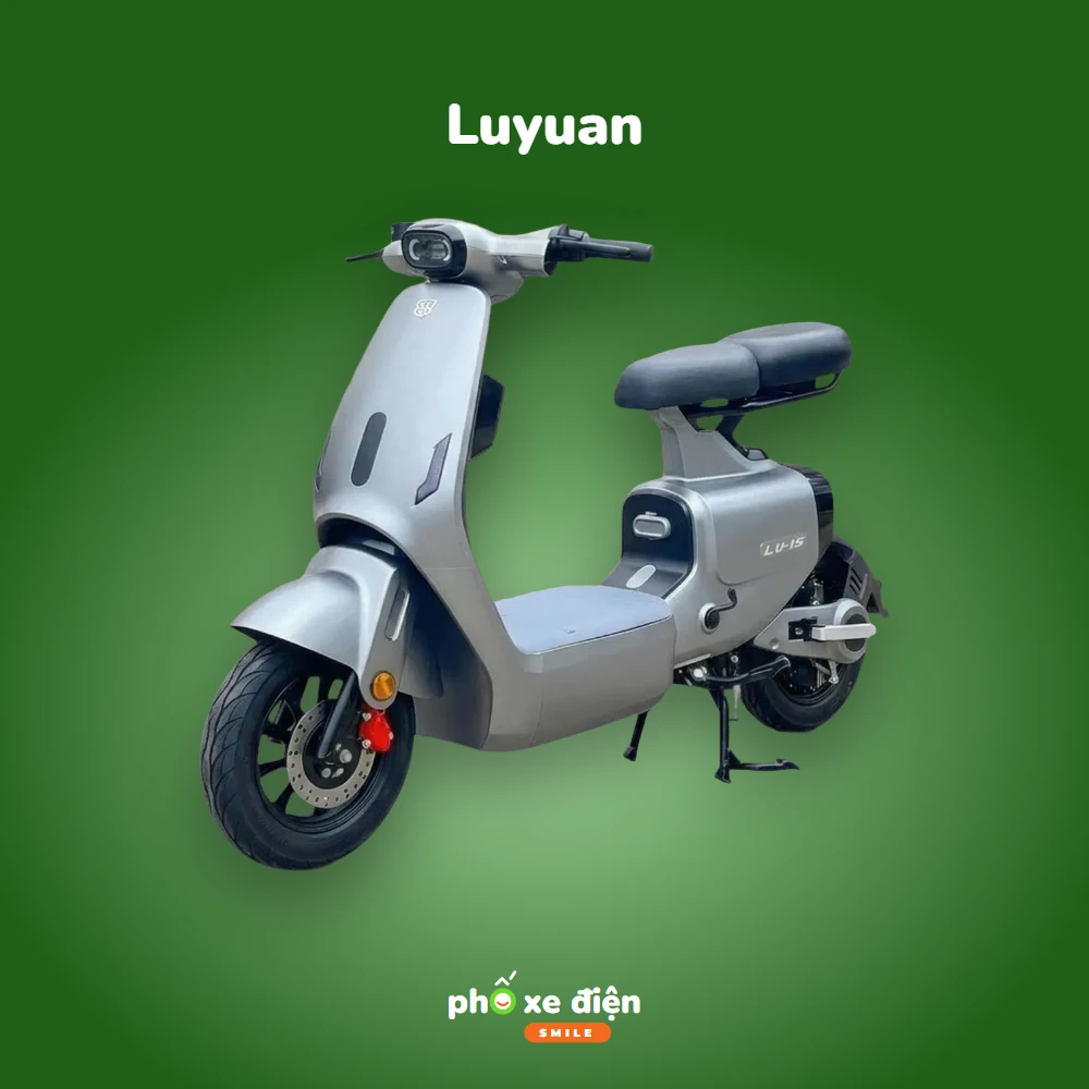 Xe Điện Luyuan
