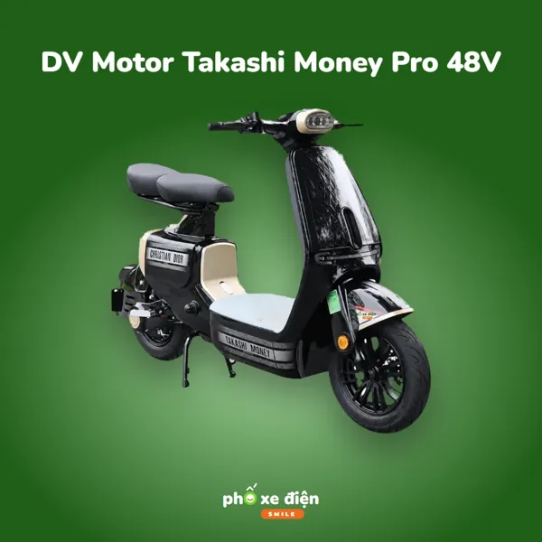 Xe Điện DVMOTOR Takashi Money Pro 48V
