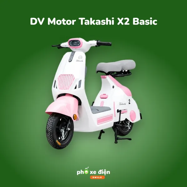 Xe Điện DVMOTOR Takashi X2 Basic