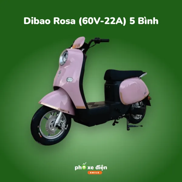 Xe Điện Hottrend Dibao Rosa (60V-22A) 5 Bình