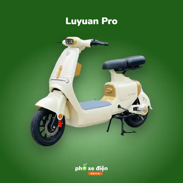 Xe Điện Luyuan Pro