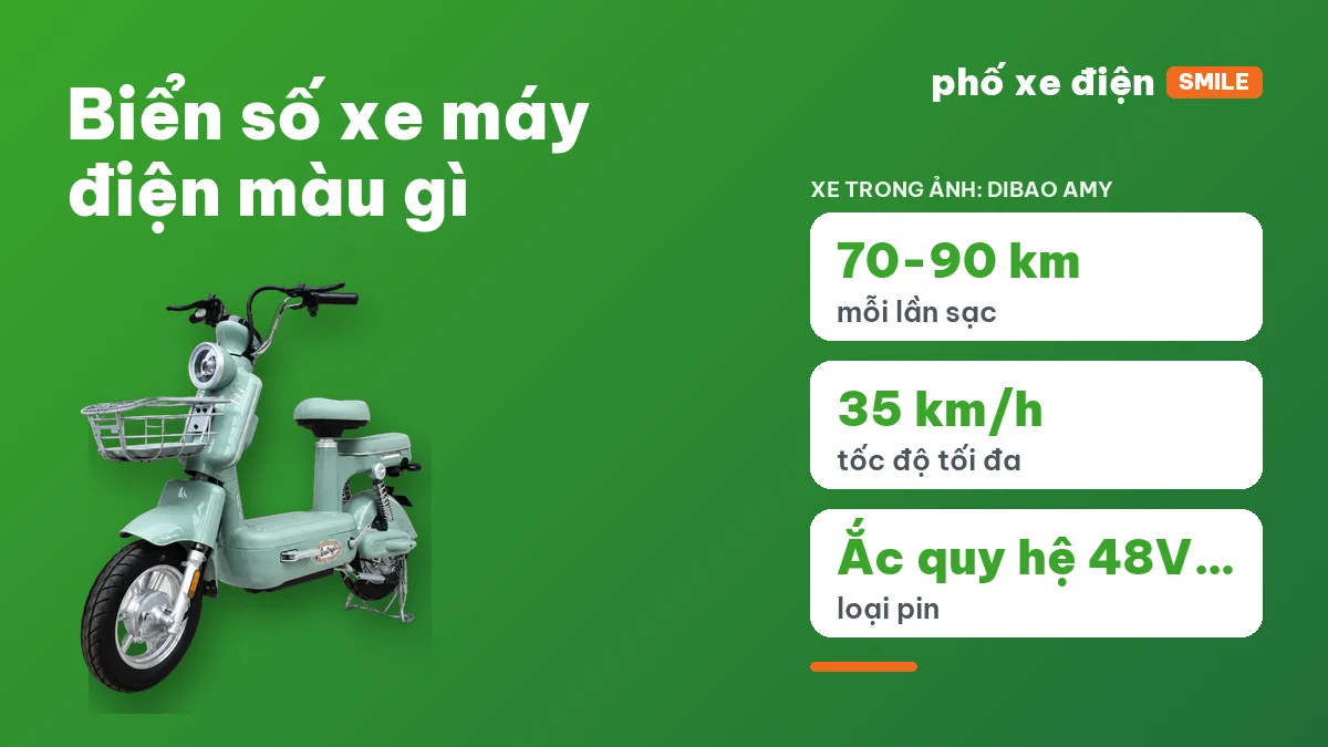 Xe máy điện gắn biển số nền trắng chữ đen