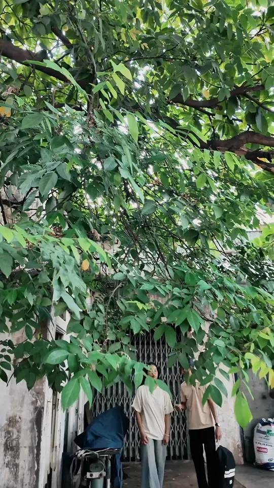 Người ngoài thương bạn vì "Điều Kiện". Tình thương của cha mẹ mới "Miễn Phí"